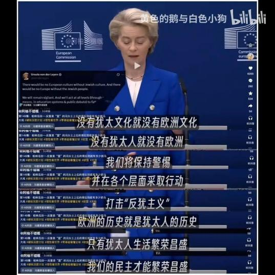 冯德莱恩